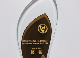 2017年4月15日，我院呼吸疾病中心王睿教授荣获2017年云贵渝大区菁英赛腔镜食管组冠军！